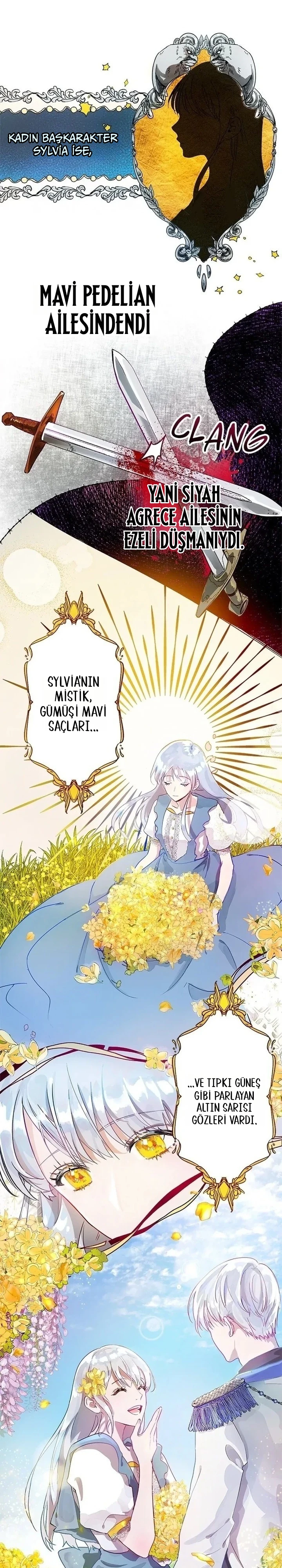 Roxana 1. Bölüm Türkçe Oku — Sayfa 11