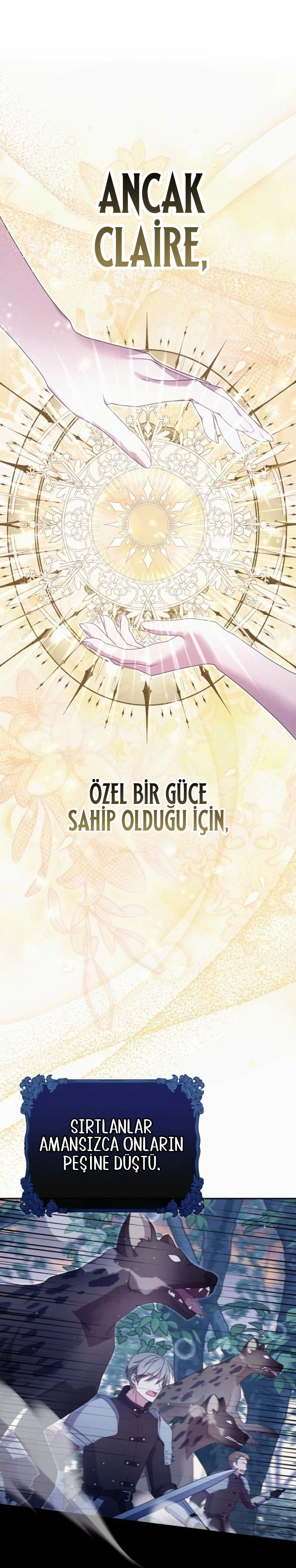 Kaplan Ailesinin Yavru Leopar Kedisi 1. Bölüm Türkçe Oku — Sayfa 17