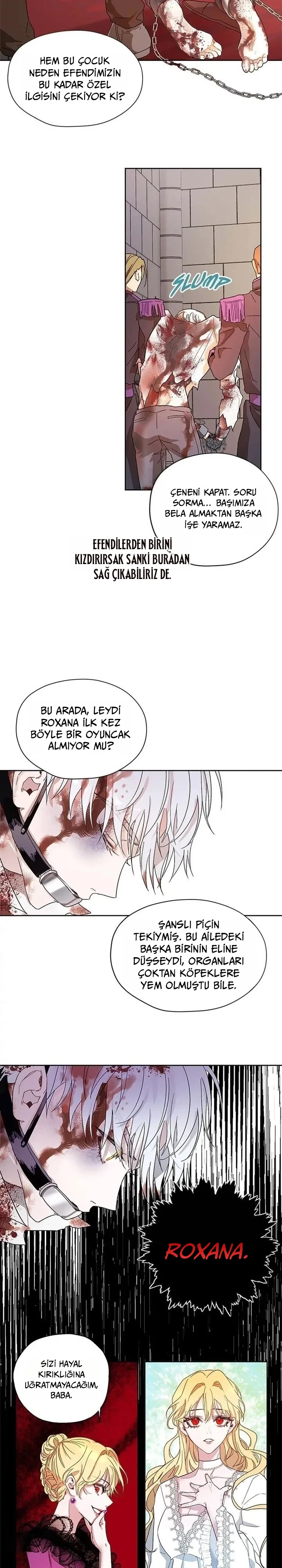 Roxana 6. Bölüm Türkçe Oku — Sayfa 12