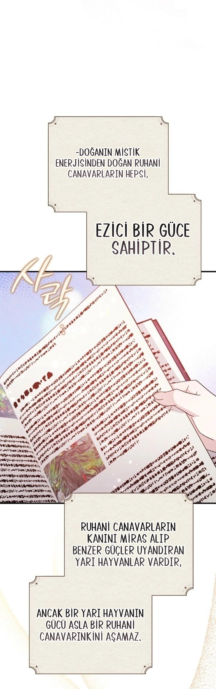 Kaplan Ailesinin Yavru Leopar Kedisi 5. Bölüm Türkçe Oku — Sayfa 25