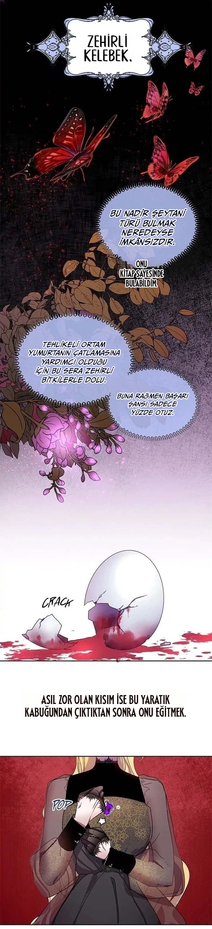 Roxana 5. Bölüm Türkçe Oku — Sayfa 4