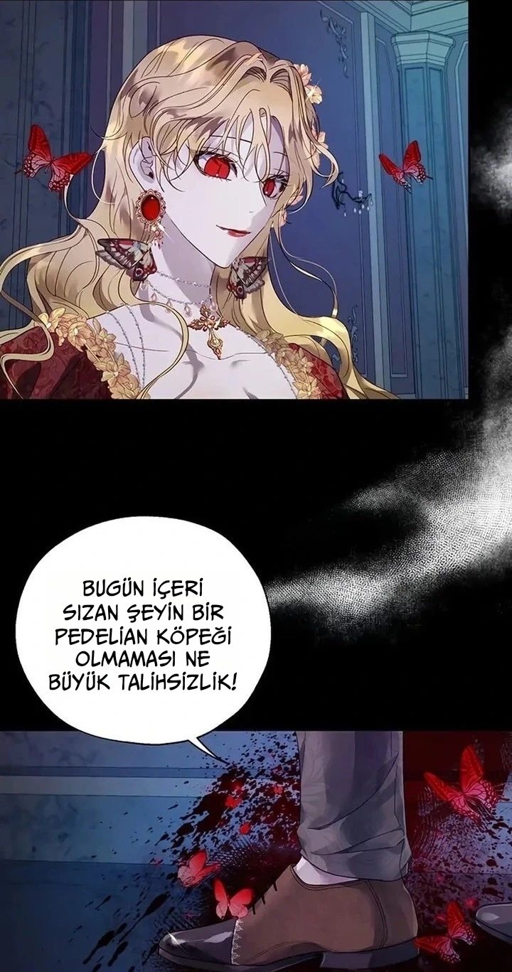 Roxana 26. Bölüm Türkçe Oku — Sayfa 4
