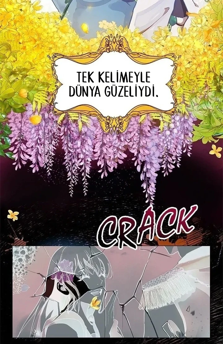 Roxana 1. Bölüm Türkçe Oku — Sayfa 12