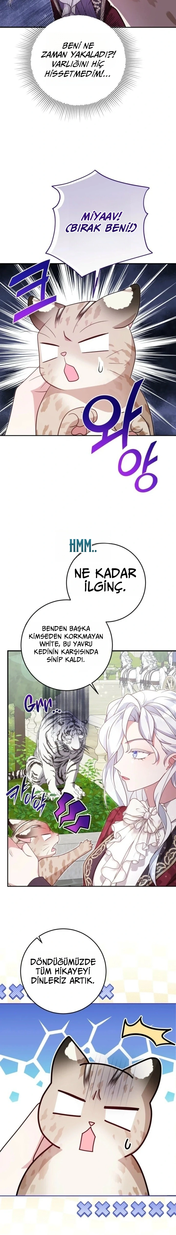 Kaplan Ailesinin Yavru Leopar Kedisi 3. Bölüm Türkçe Oku — Sayfa 10