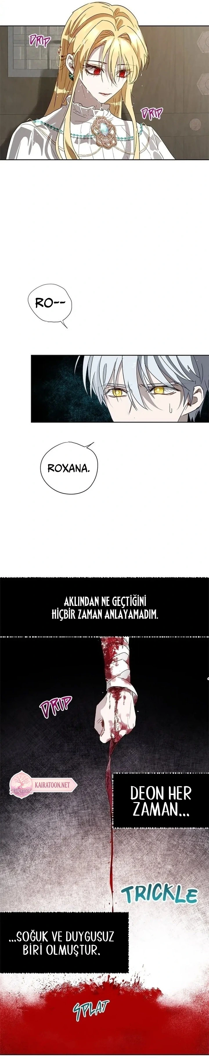 Roxana 12. Bölüm Türkçe Oku — Sayfa 13
