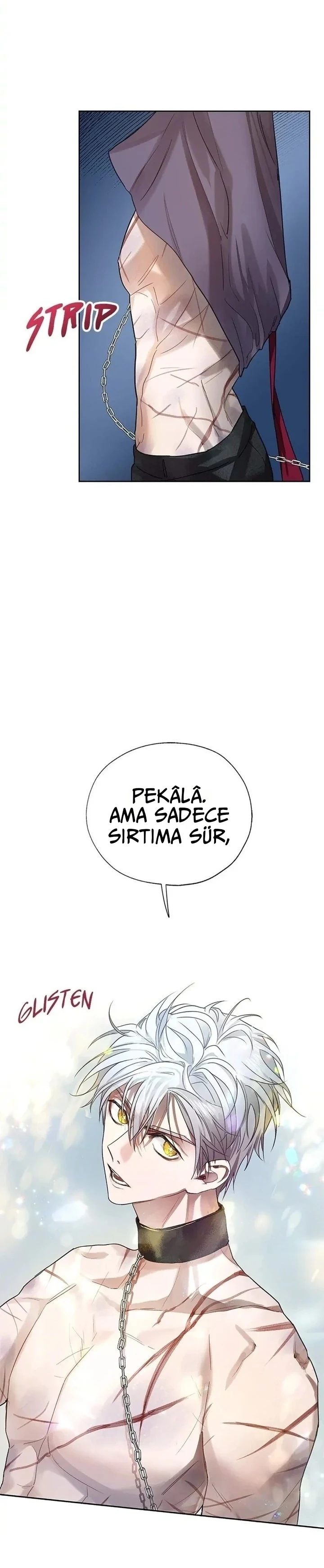 Roxana 7. Bölüm Türkçe Oku — Sayfa 29