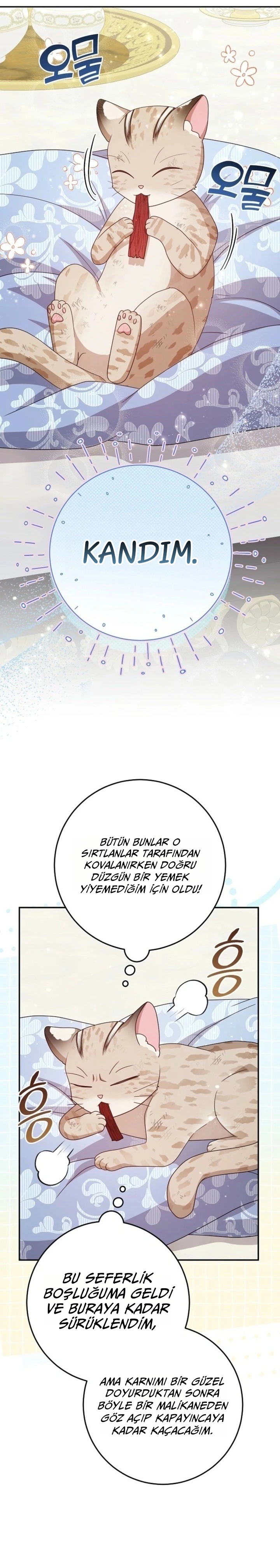 Kaplan Ailesinin Yavru Leopar Kedisi 1. Bölüm Türkçe Oku — Sayfa 39