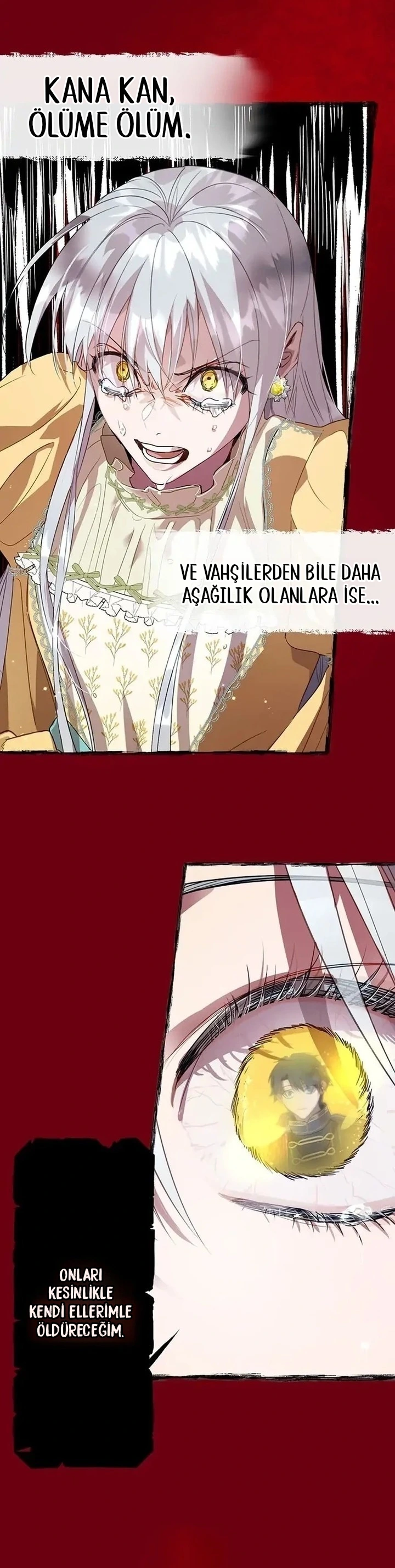 Roxana 27. Bölüm Türkçe Oku — Sayfa 21