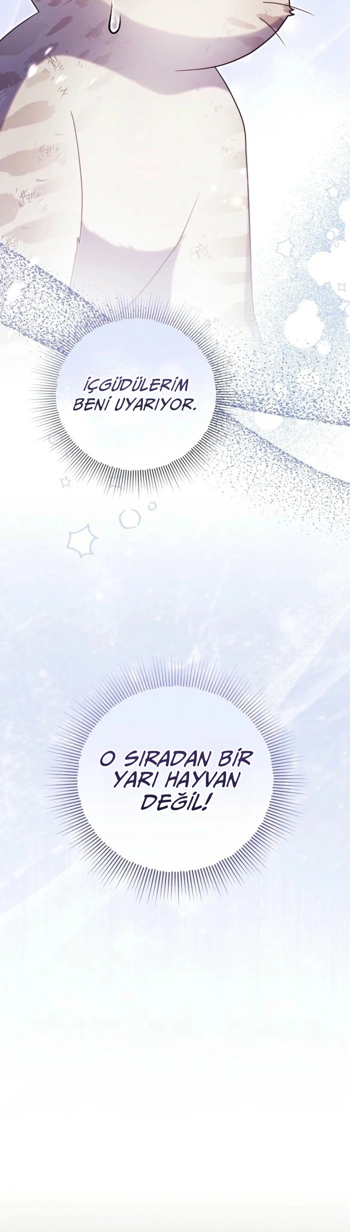 Kaplan Ailesinin Yavru Leopar Kedisi 1. Bölüm Türkçe Oku — Sayfa 27