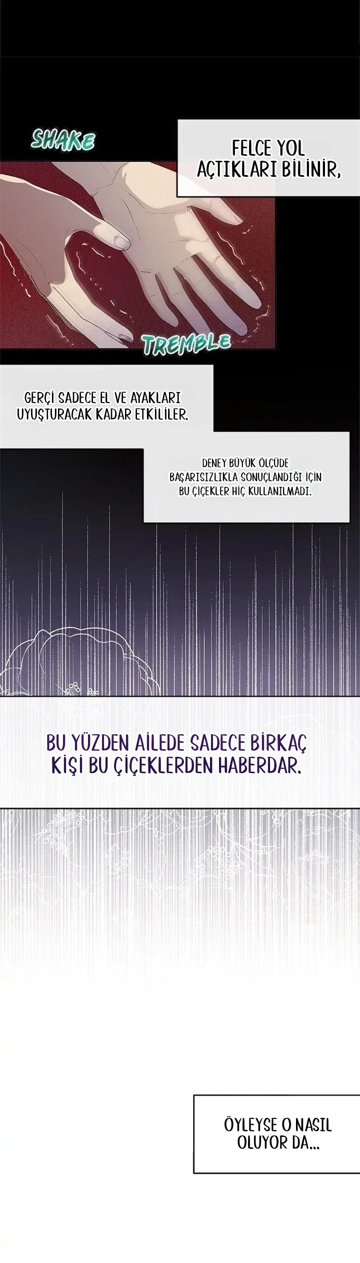 Roxana 10. Bölüm Türkçe Oku — Sayfa 20