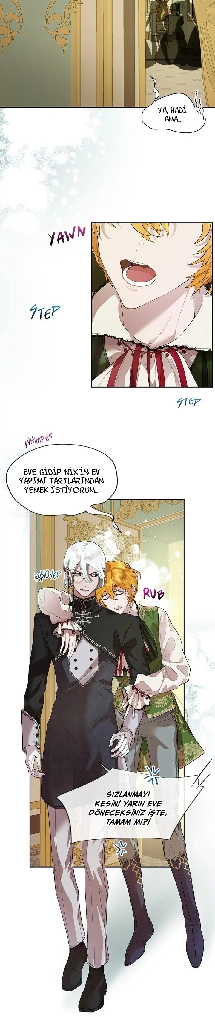 Roxana 33. Bölüm Türkçe Oku — Sayfa 17