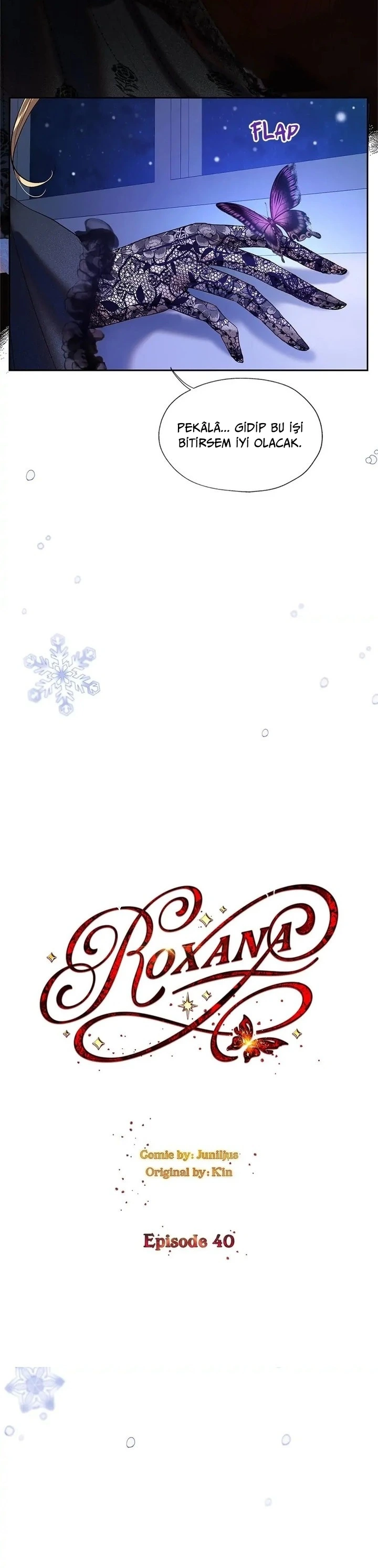 Roxana 40. Bölüm Türkçe Oku — Sayfa 14