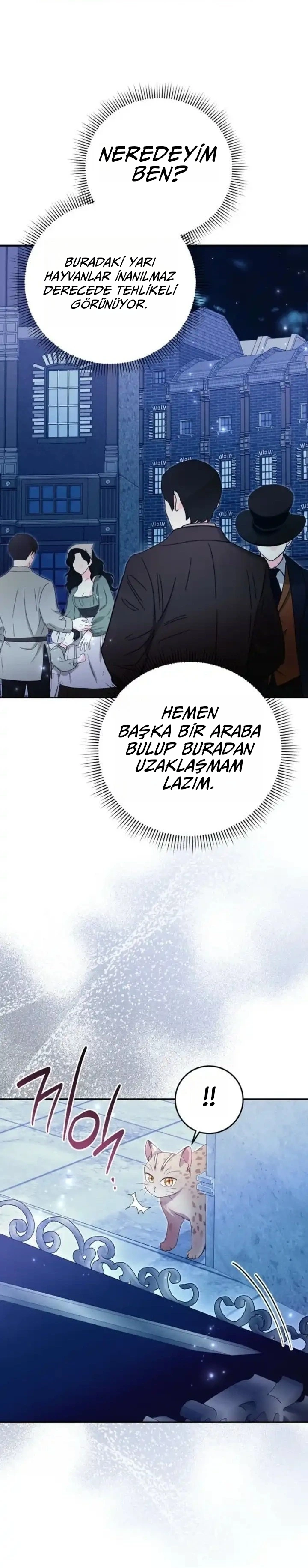 Kaplan Ailesinin Yavru Leopar Kedisi 15. Bölüm Türkçe Oku — Sayfa 16