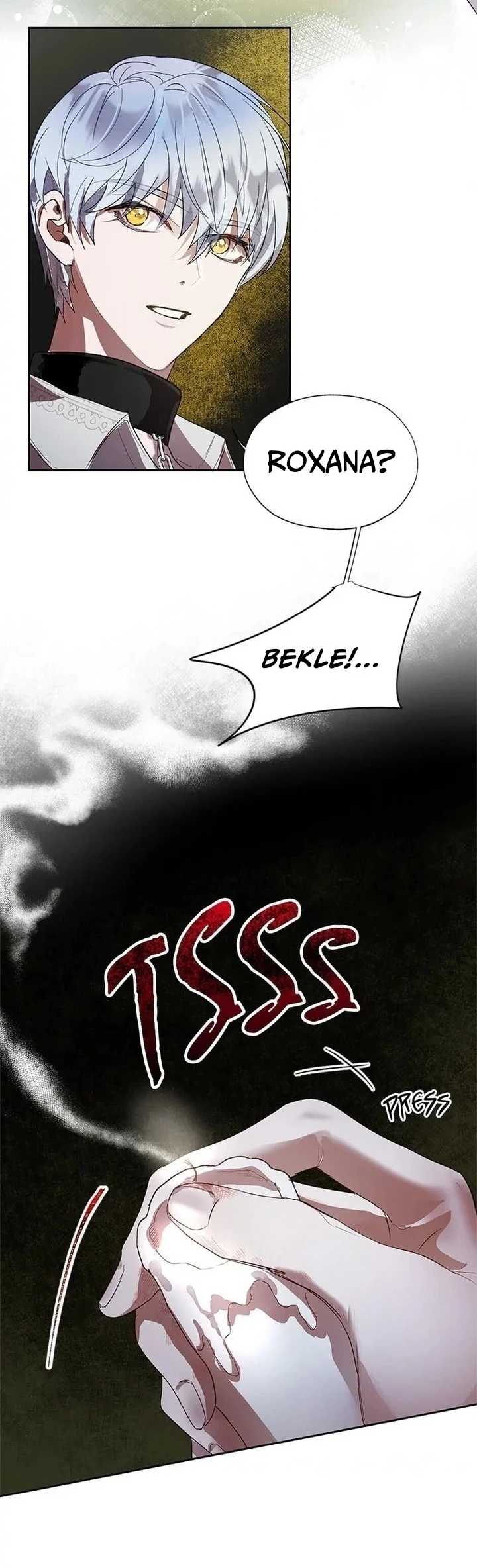 Roxana 25. Bölüm Türkçe Oku — Sayfa 3
