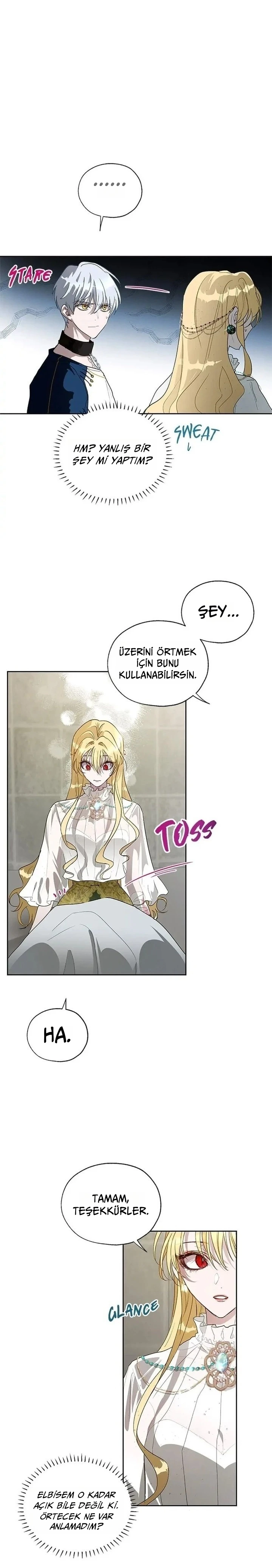Roxana 12. Bölüm Türkçe Oku — Sayfa 22