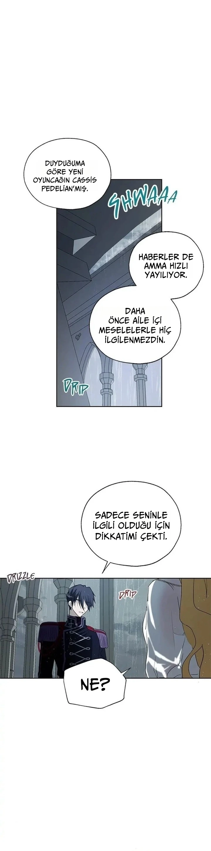 Roxana 12. Bölüm Türkçe Oku — Sayfa 9