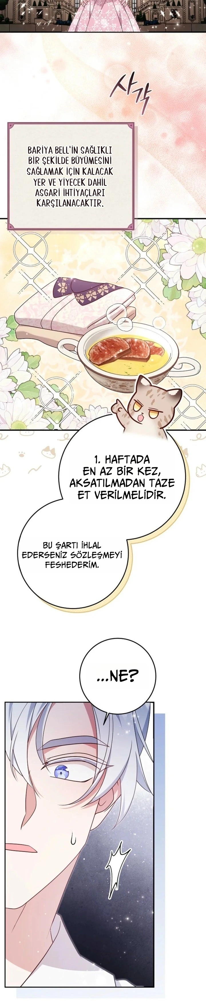 Kaplan Ailesinin Yavru Leopar Kedisi 4. Bölüm Türkçe Oku — Sayfa 19