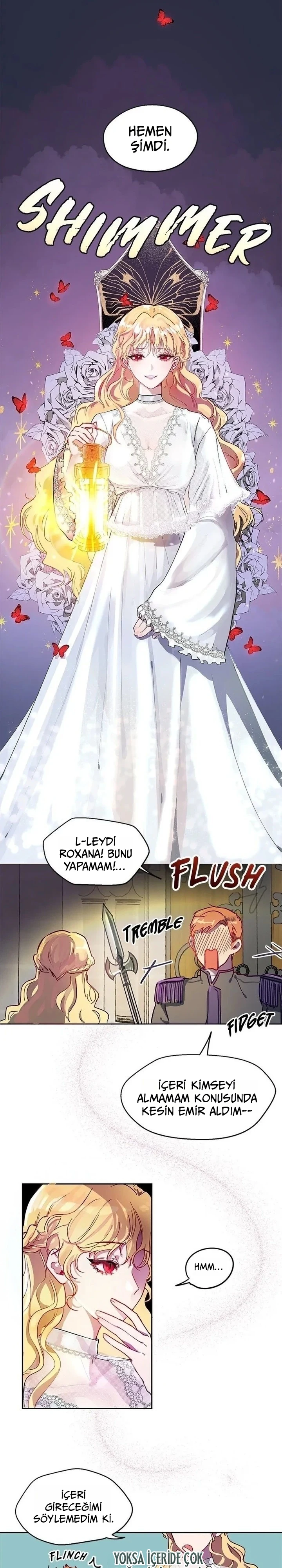 Roxana 1. Bölüm Türkçe Oku — Sayfa 19