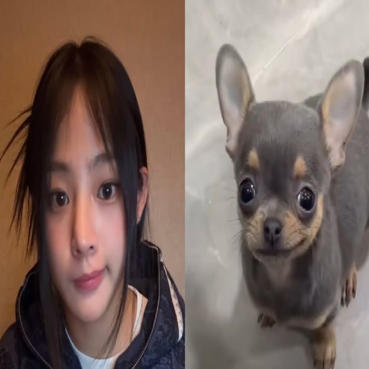 Rengg