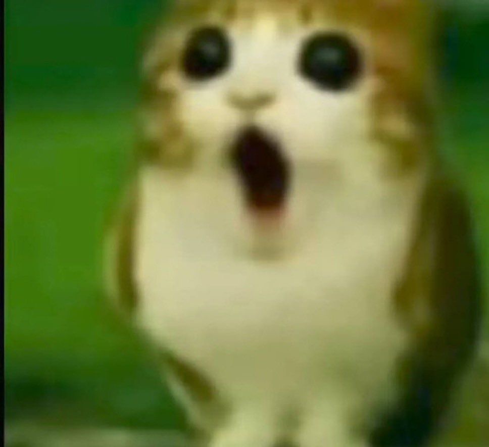 iilywap