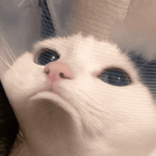 Yorum GIF'i