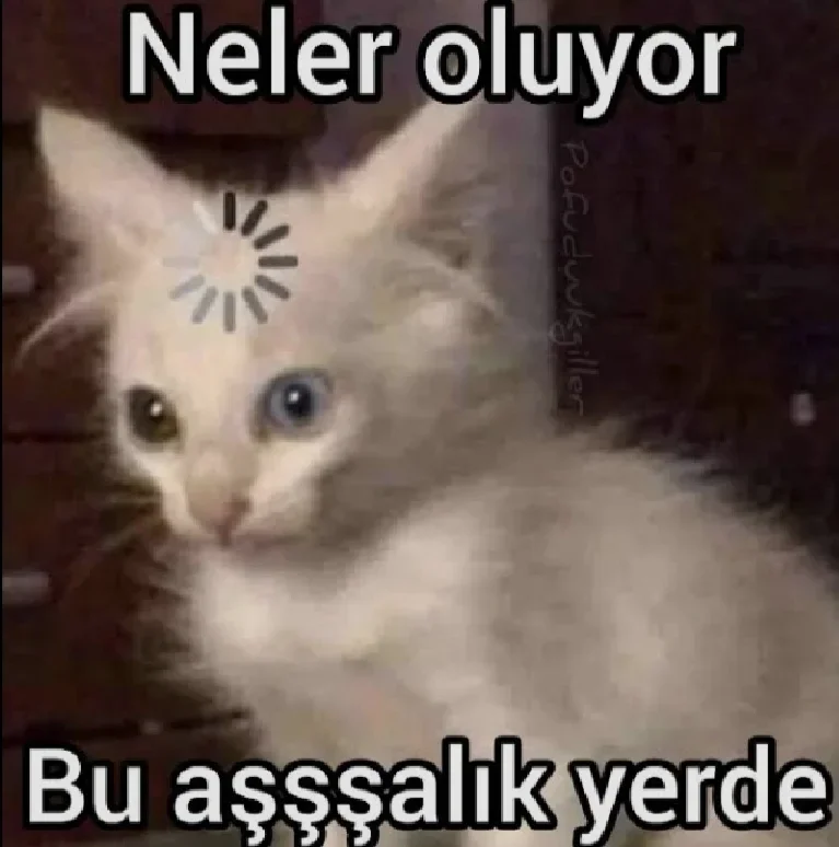 Yorum fotoğrafı