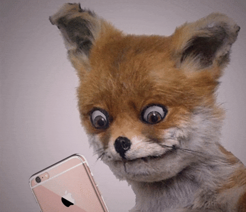 Yorum GIF'i