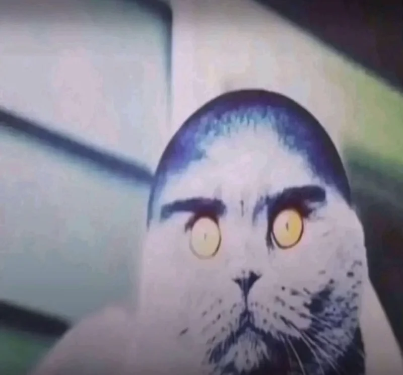 Yorum fotoğrafı