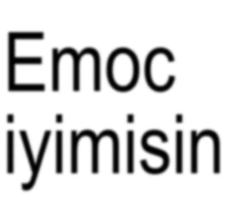 Yorum fotoğrafı