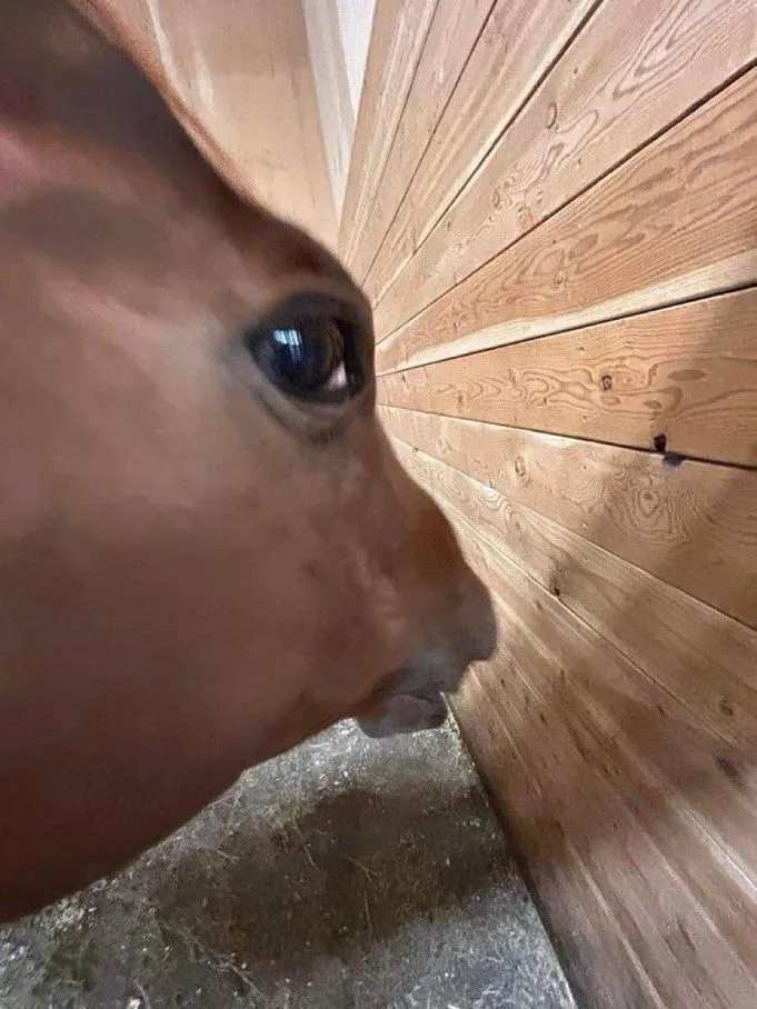 Yorum fotoğrafı
