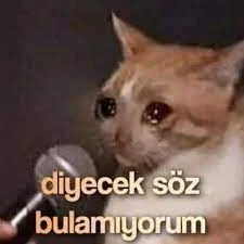 Yorum fotoğrafı
