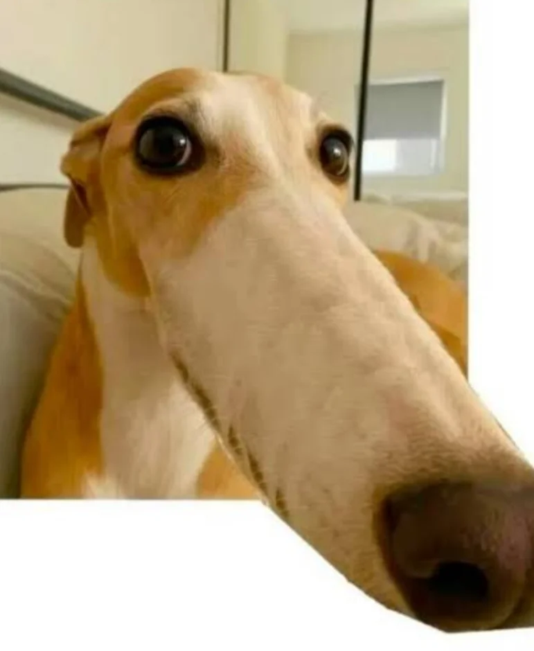 Yorum fotoğrafı