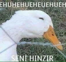Yorum fotoğrafı