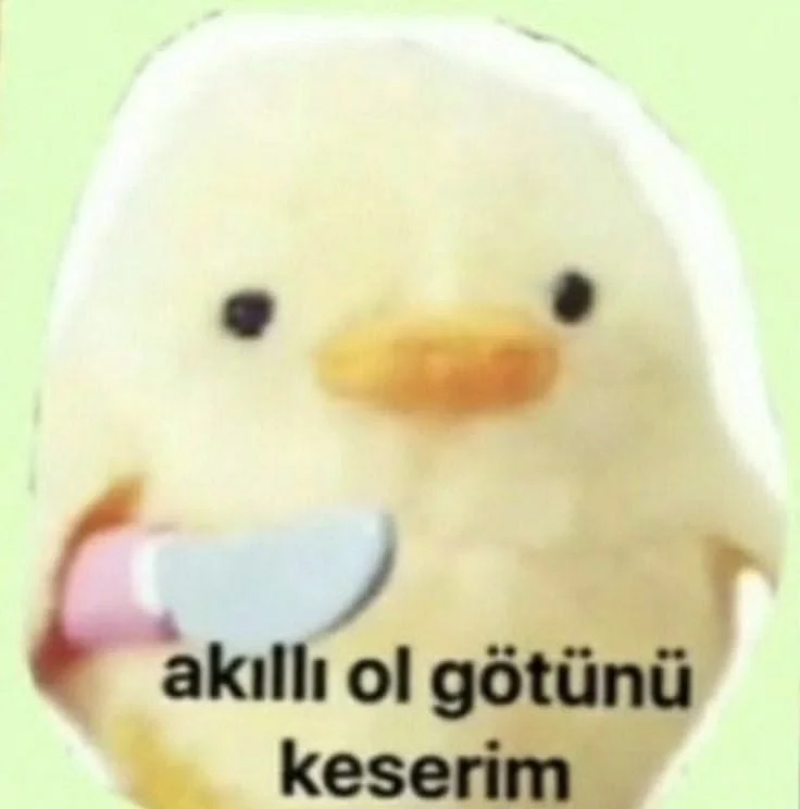 Yorum fotoğrafı