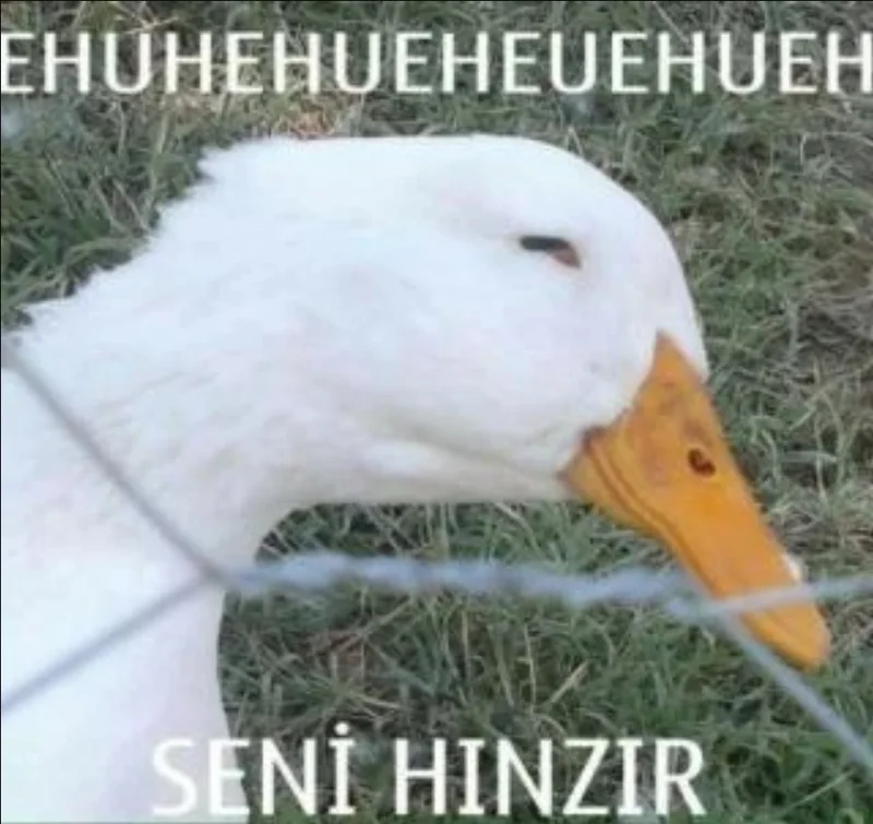 Topluluk görseli