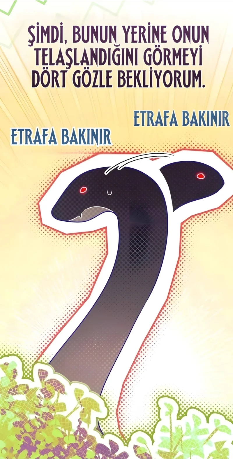Yorum fotoğrafı