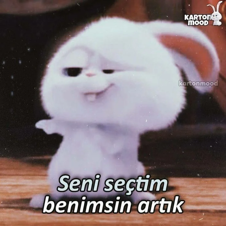 Yorum fotoğrafı