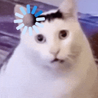 Yorum GIF'i