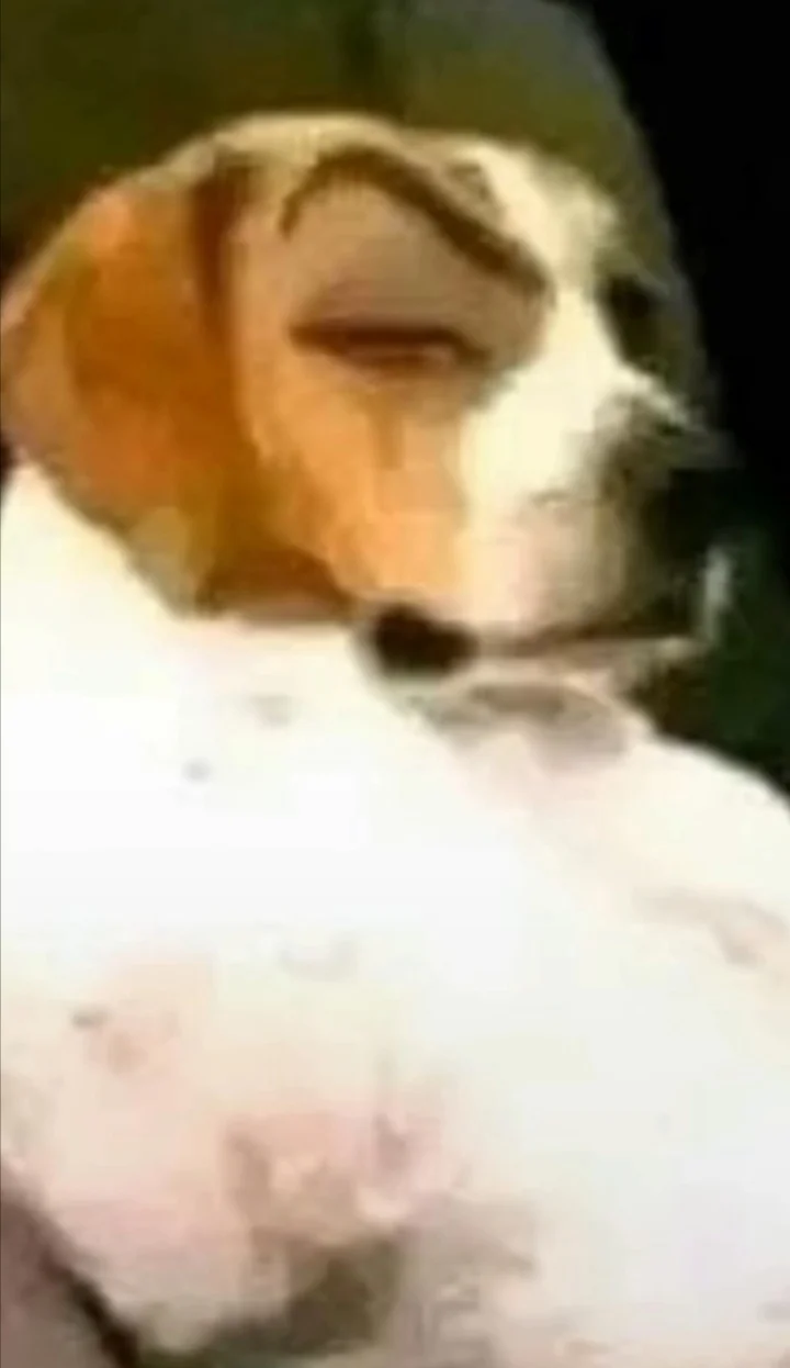 Yorum fotoğrafı