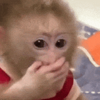 Yorum GIF'i