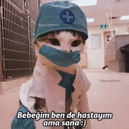 Yorum fotoğrafı