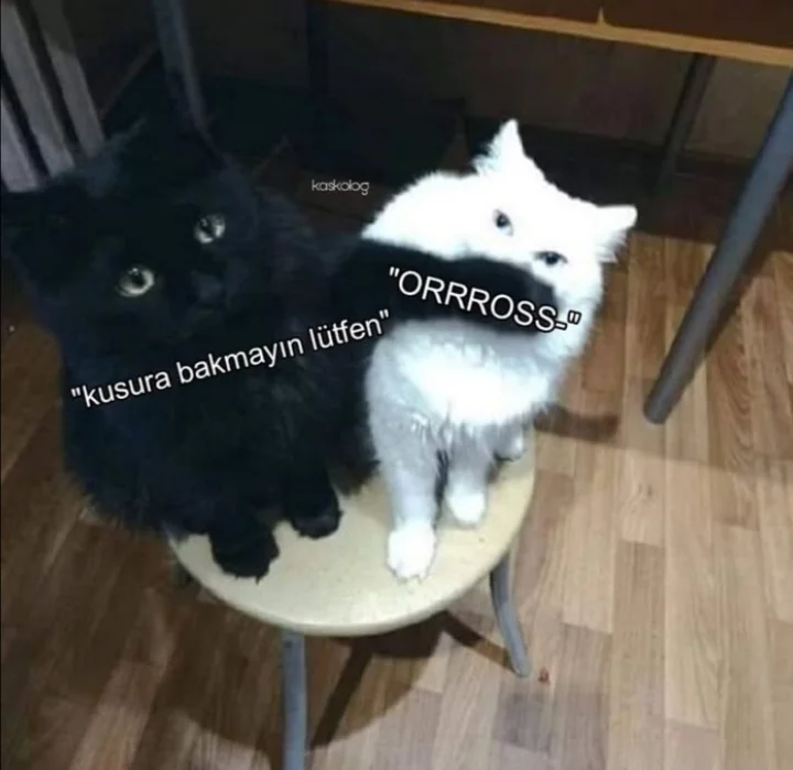 Yorum fotoğrafı
