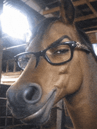 Yorum GIF'i