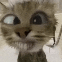 Yorum GIF'i
