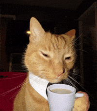 Yorum GIF'i