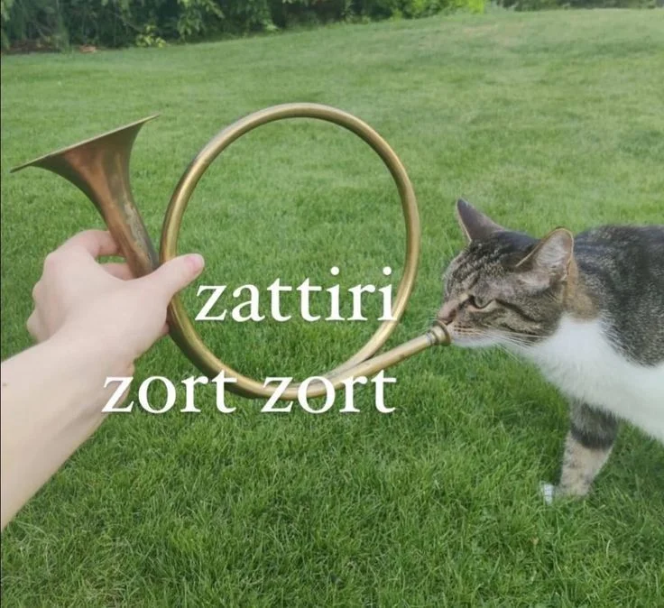 Yorum fotoğrafı