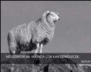 Yorum fotoğrafı