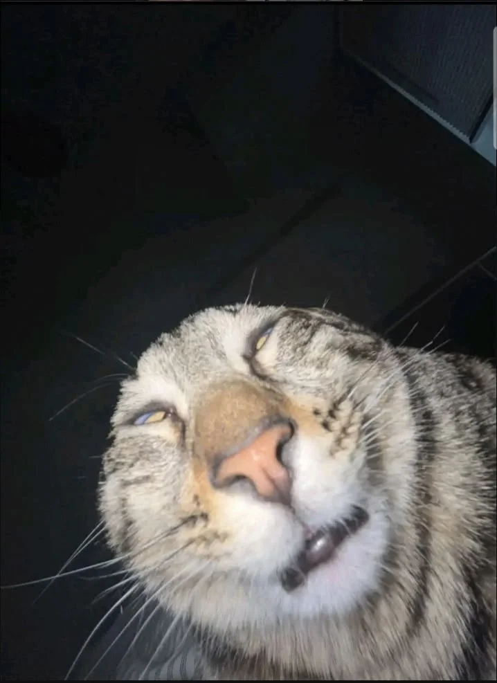 Yorum fotoğrafı